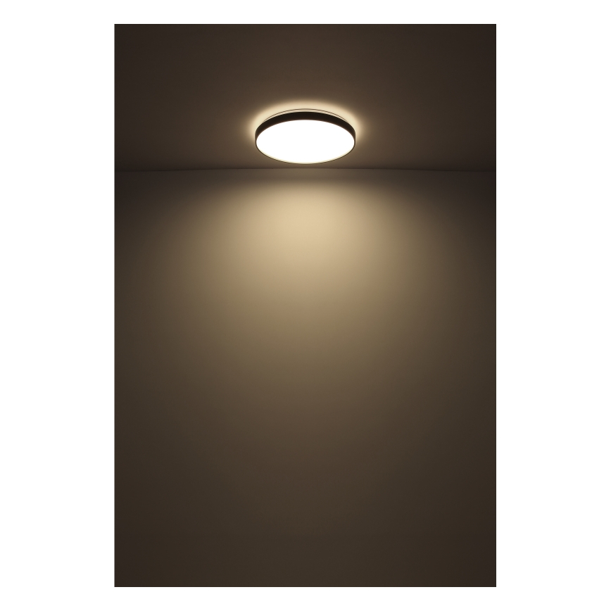 Globo - LED Stropné svietidlo LED/24W/230V