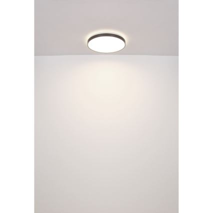 Globo - LED Stropné svietidlo LED/24W/230V