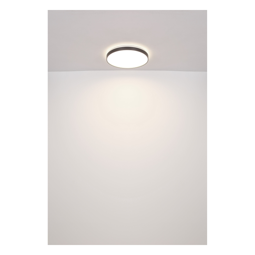 Globo - LED Stropné svietidlo LED/24W/230V