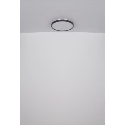 Globo - LED Stropné svietidlo LED/24W/230V