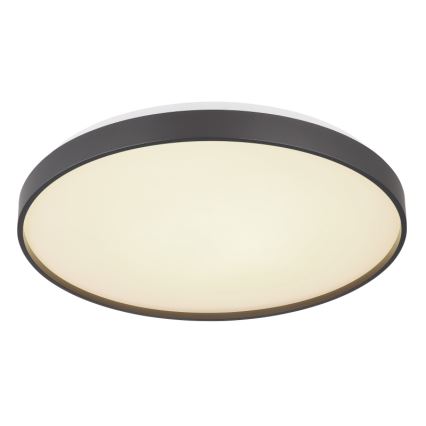 Globo - LED Stropné svietidlo LED/24W/230V