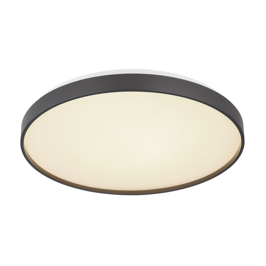 Globo - LED Stropné svietidlo LED/24W/230V