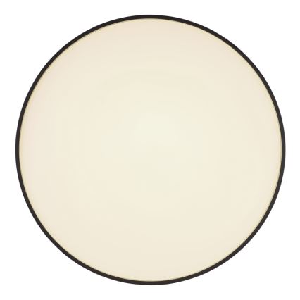 Globo - LED Stropné svietidlo LED/24W/230V