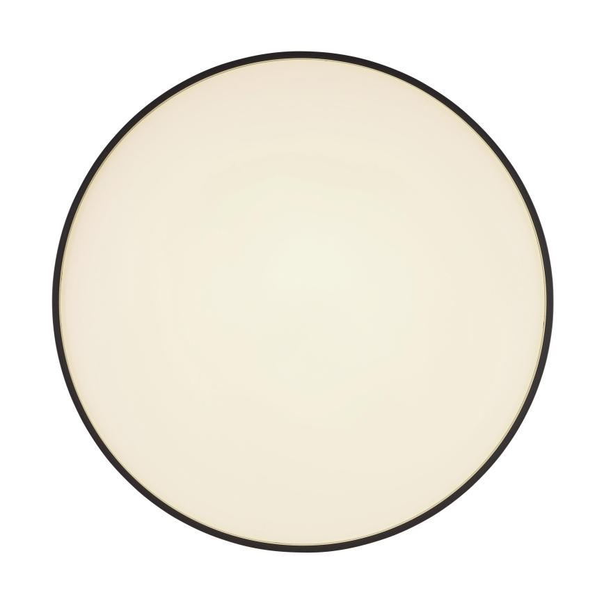 Globo - LED Stropné svietidlo LED/24W/230V