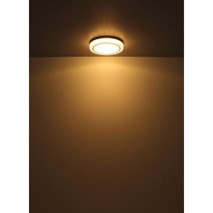 Globo - LED Stropné svietidlo LED/24W/230V pr. 40 cm 3000K biela