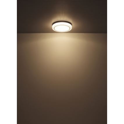 Globo - LED Stropné svietidlo LED/24W/230V pr. 40 cm 4000K biela