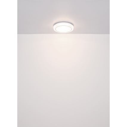 Globo - LED Stropné svietidlo LED/24W/230V pr. 40 cm 4000K biela