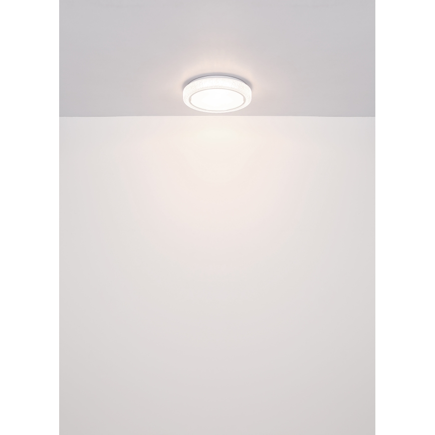 Globo - LED Stropné svietidlo LED/24W/230V pr. 40 cm 4000K biela