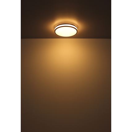 Globo - LED RGBW Stmievateľné stropné svietidlo LED/18W/230V 2700-6000K + diaľkové ovládanie