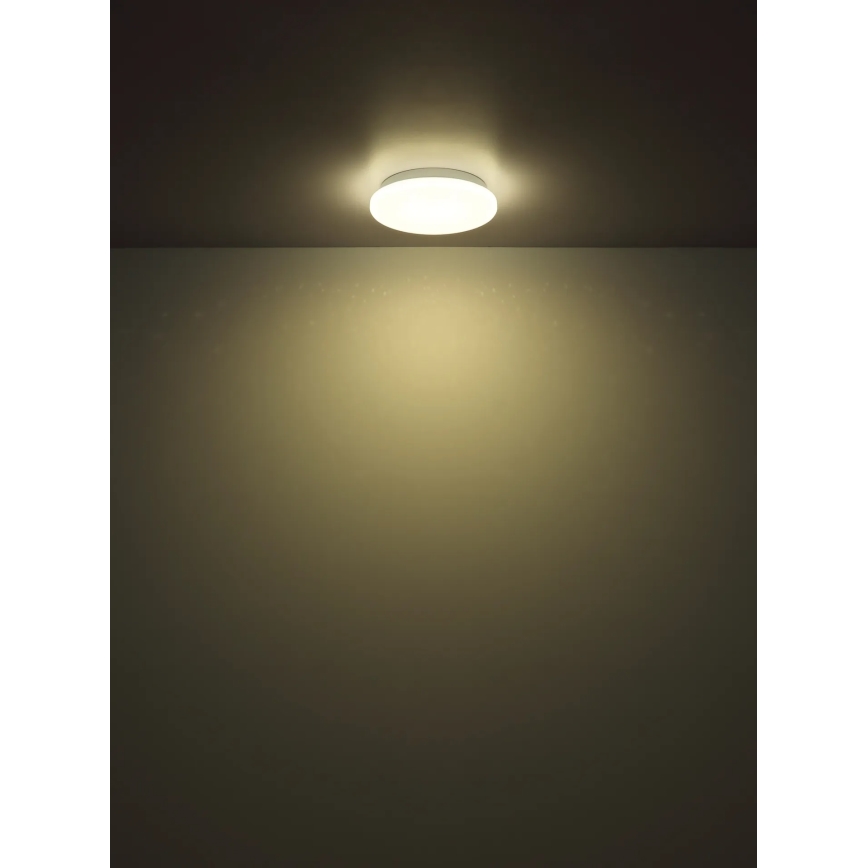 Globo - LED Stropné svietidlo LED/8W/230V 4000K pr. 55 cm