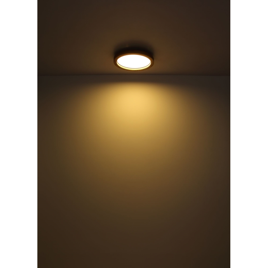 Globo - LED RGBW Stmievateľné stropné svietidlo LED/24W/230V 2700-6000K + diaľkové ovládanie