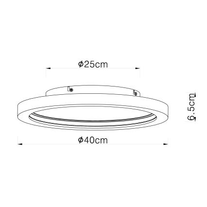 Globo - LED RGBW Stmievateľné stropné svietidlo LED/24W/230V 2700-6000K + diaľkové ovládanie