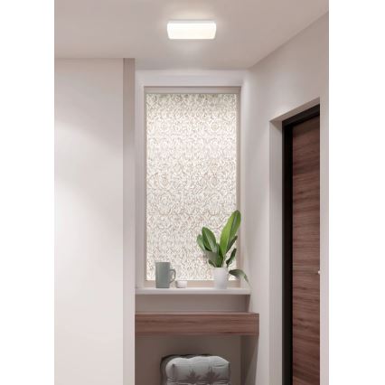 Globo - LED stropné svietidlo LED/12W/230V 3000/4200/6500K 28,5x13,5 cm