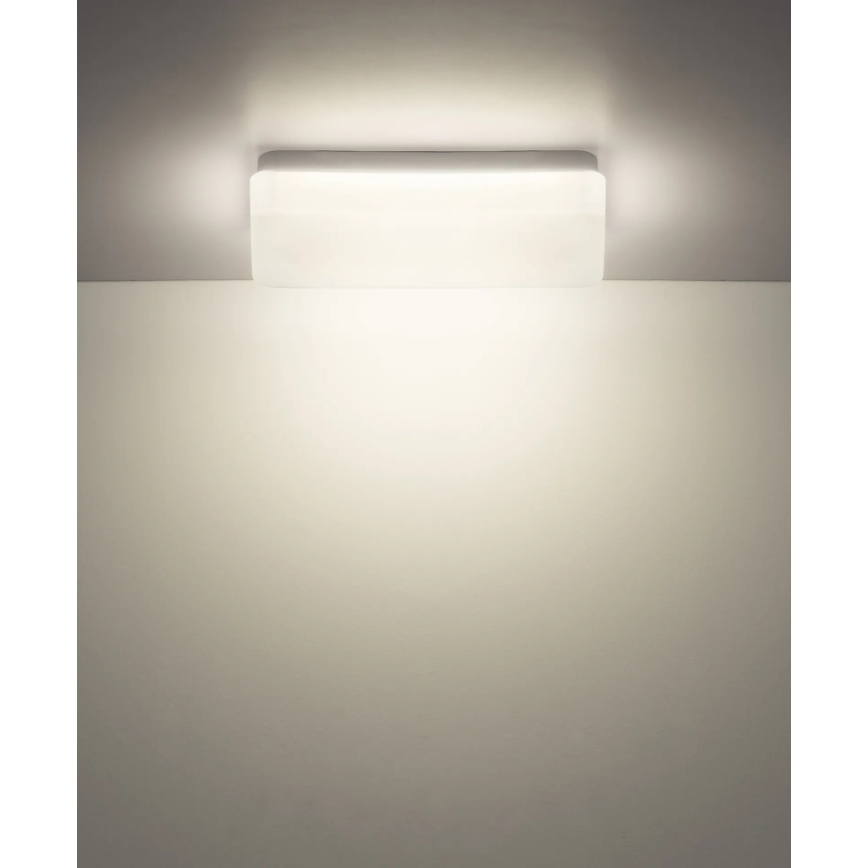 Globo - LED stropné svietidlo LED/12W/230V 3000/4200/6500K 28,5x13,5 cm
