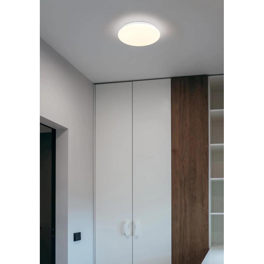 Globo - LED stropné svietidlo LED/12W/230V 3000/4200/6500K pr. 26 cm