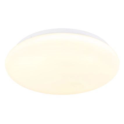 Globo - LED stropné svietidlo LED/12W/230V 3000/4200/6500K pr. 26 cm
