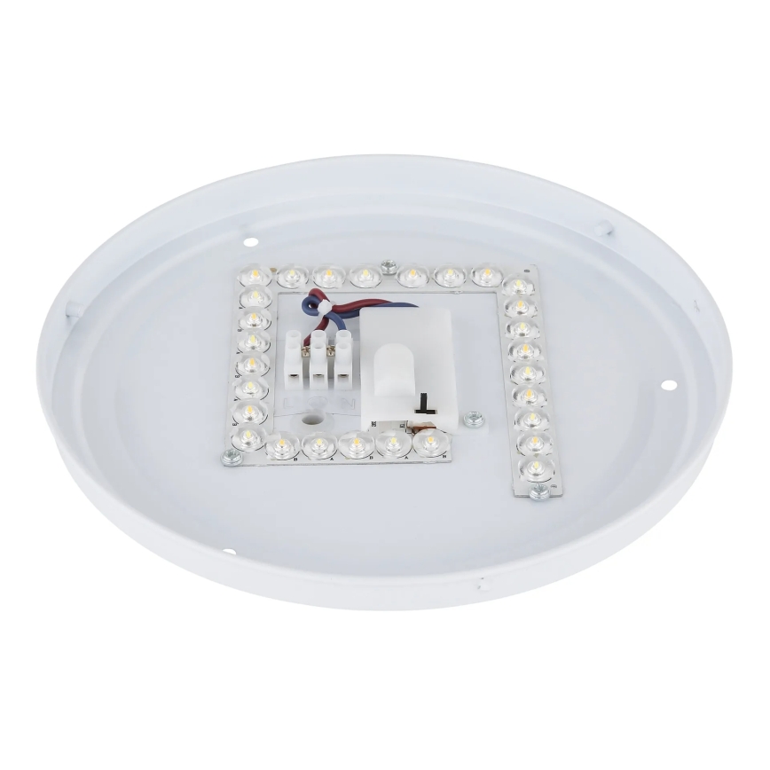 Globo - LED stropné svietidlo LED/12W/230V 3000/4200/6500K pr. 26 cm
