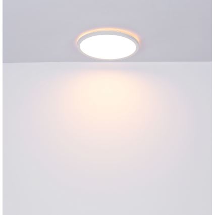 Globo - LED Stmievateľné kúpeľňové stropné svietidlo LED/18W/230V pr. 29,4 cm IP44 biela