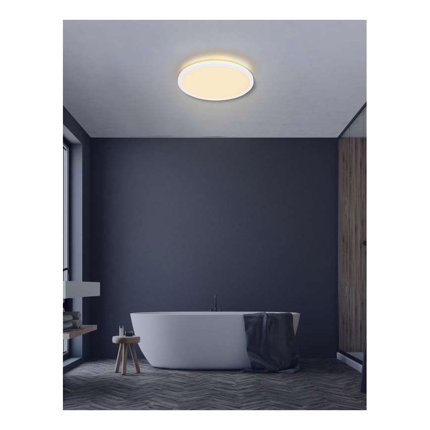 Globo - LED Stmievateľné kúpeľňové stropné svietidlo LED/24W/230V pr. 42 cm IP44 biela