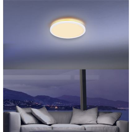 Globo - LED Stmievateľné kúpeľňové stropné svietidlo LED/24W/230V pr. 42 cm IP44 biela