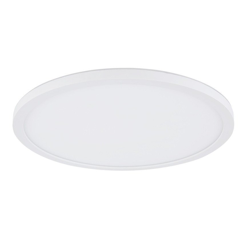 Globo - LED Stmievateľné kúpeľňové stropné svietidlo LED/24W/230V pr. 42 cm IP44 biela