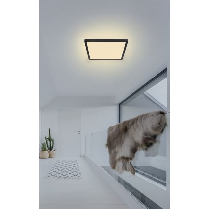 Globo - LED Stmievateľné kúpeľňové stropné svietidlo LED/18W/230V 29,4x29,4 cm IP44 čierna