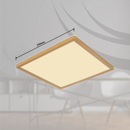 Globo - LED Stmievateľné kúpeľňové stropné svietidlo LED/18W/230V 3000K IP44 29,4x29,4 cm mosadz