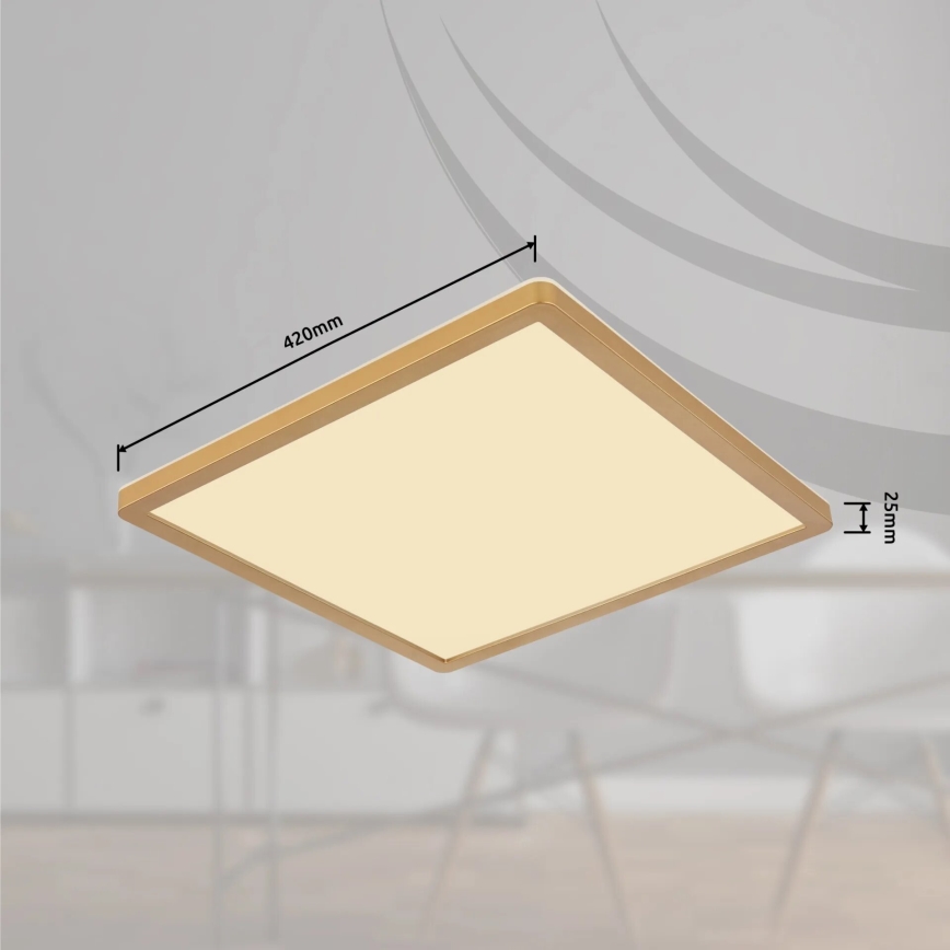 Globo - LED Stmievateľné kúpeľňové stropné svietidlo LED/24W/230V 3000K IP44 42x42 cm mosadz