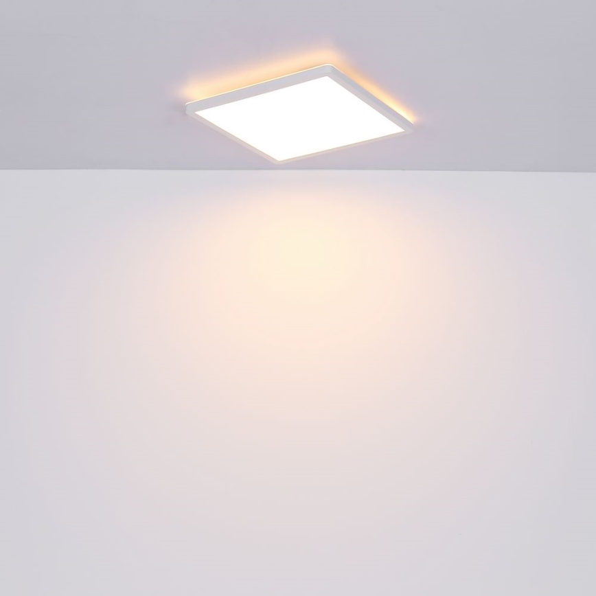Globo - LED Stmievateľné kúpeľňové stropné svietidlo LED/24W/230V 42x42 cm IP44 biela