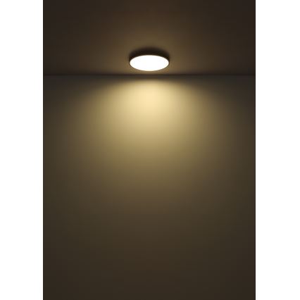 Globo - LED Stropné svietidlo LED/15W/230V 4000K pr. 23 cm čierna
