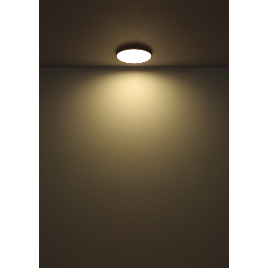 Globo - LED Stropné svietidlo LED/15W/230V 4000K pr. 23 cm čierna