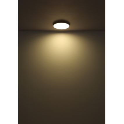 Globo - LED Stropné svietidlo LED/32W/230V 4000K pr. 40 cm čierna