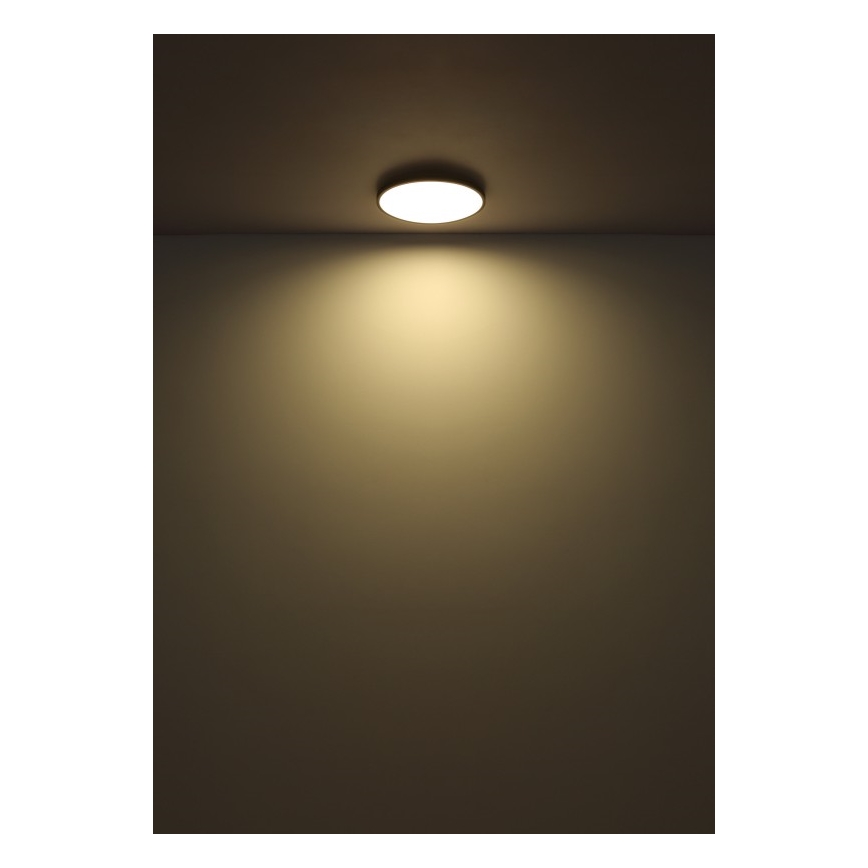 Globo - LED Stropné svietidlo LED/32W/230V 4000K pr. 40 cm čierna