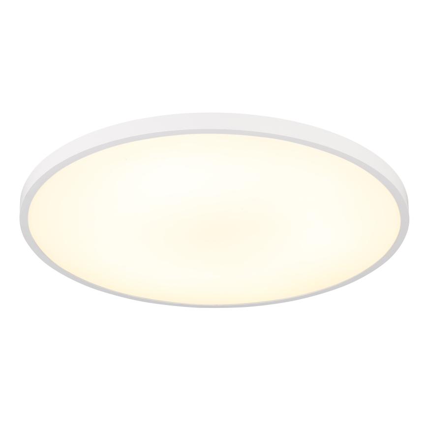 Globo - LED Stropné svietidlo LED/32W/230V 4000K pr. 40 cm biela