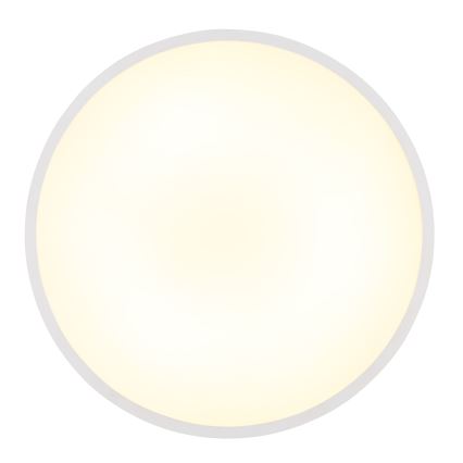 Globo - LED Stropné svietidlo LED/32W/230V 4000K pr. 40 cm biela