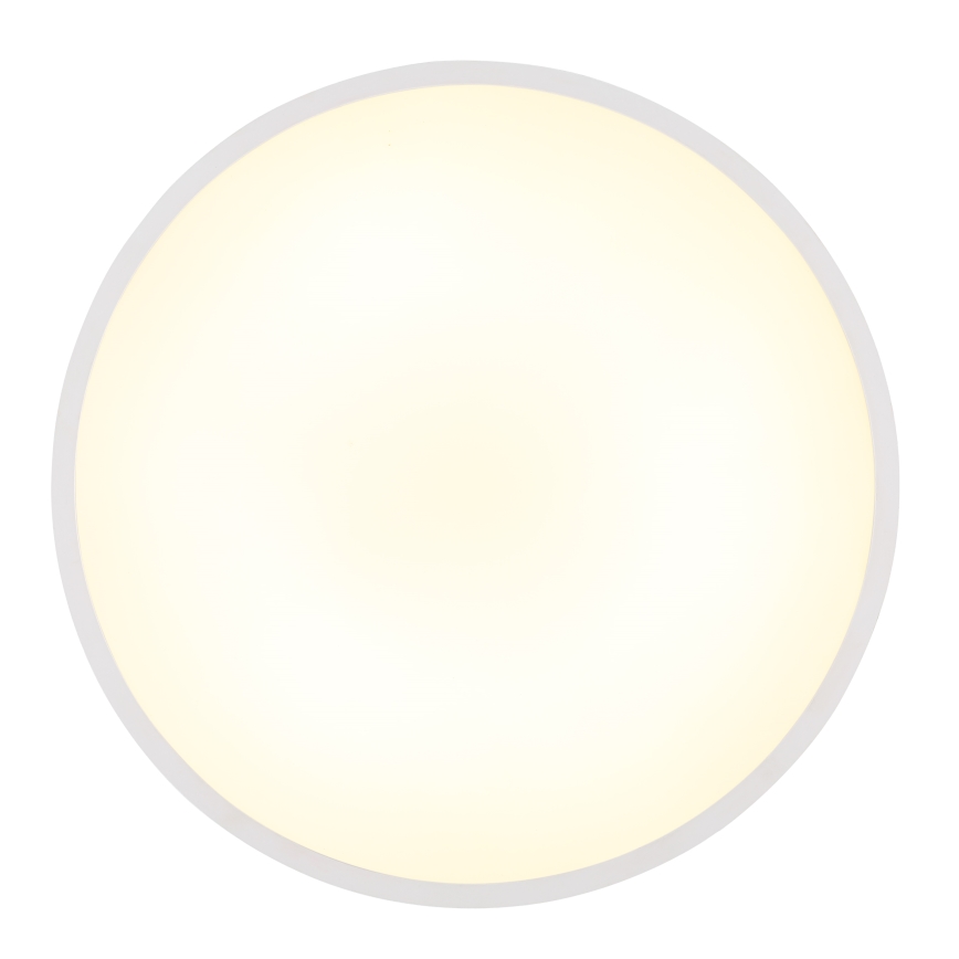 Globo - LED Stropné svietidlo LED/32W/230V 4000K pr. 40 cm biela
