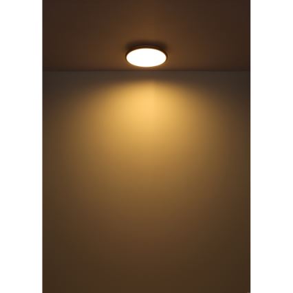 Globo - LED Stropné svietidlo LED/18W/230V 3000K pr. 35 cm čierna