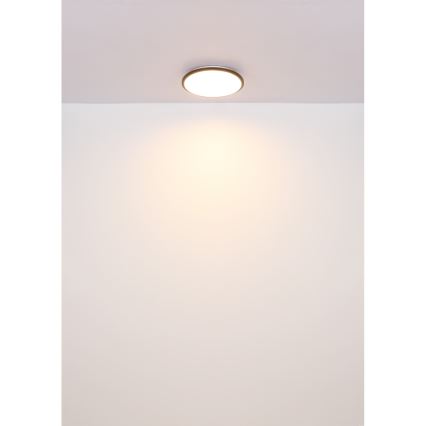 Globo - LED Stropné svietidlo LED/18W/230V 3000K pr. 35 cm čierna