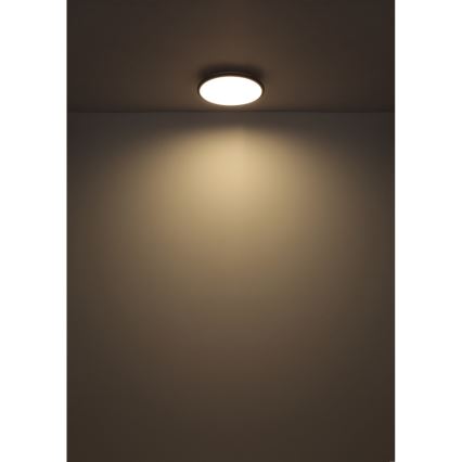 Globo - LED Stropné svietidlo LED/18W/230V 4000K pr. 35 cm čierna