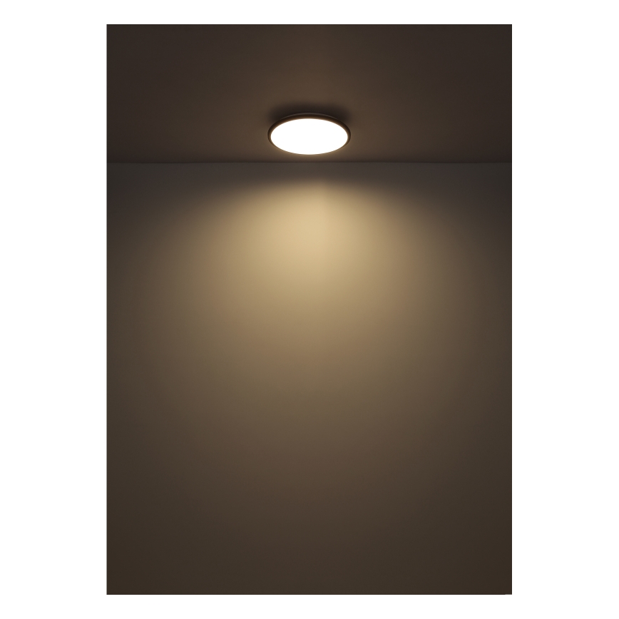 Globo - LED Stropné svietidlo LED/18W/230V 4000K pr. 35 cm čierna