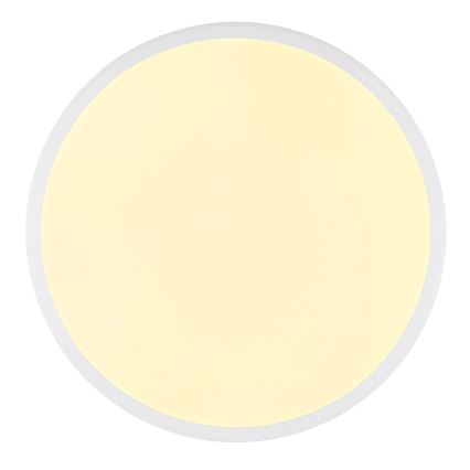 Globo - LED Stropné svietidlo LED/18W/230V 3000K pr. 35 cm biela