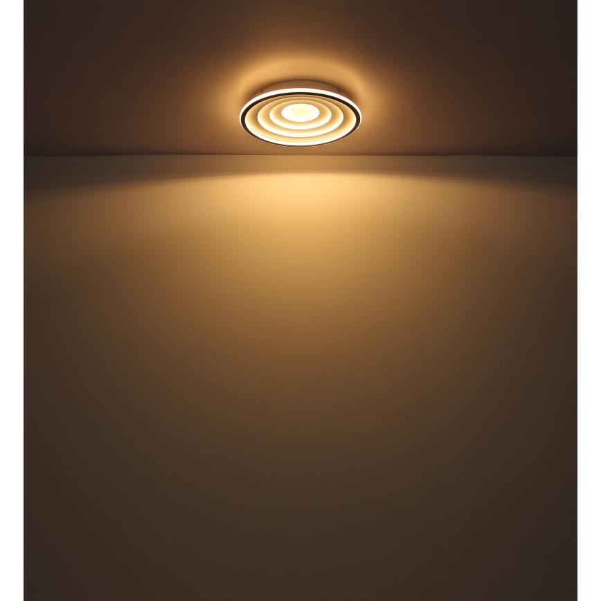 Globo - LED Stropné svietidlo LED/24W/230V