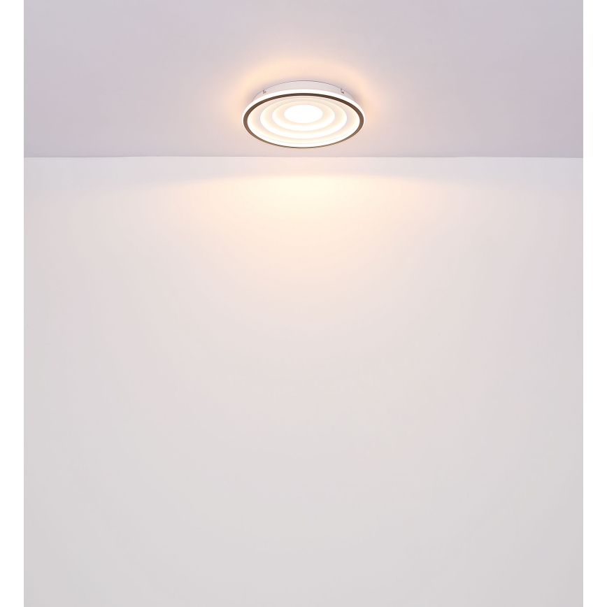 Globo - LED Stropné svietidlo LED/24W/230V