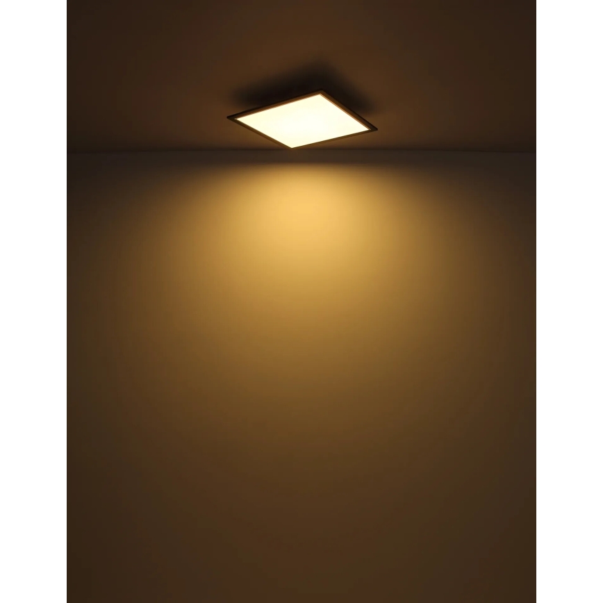 Globo - LED Stropné svietidlo LED/24W/230V