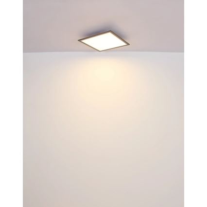 Globo - LED Stropné svietidlo LED/24W/230V