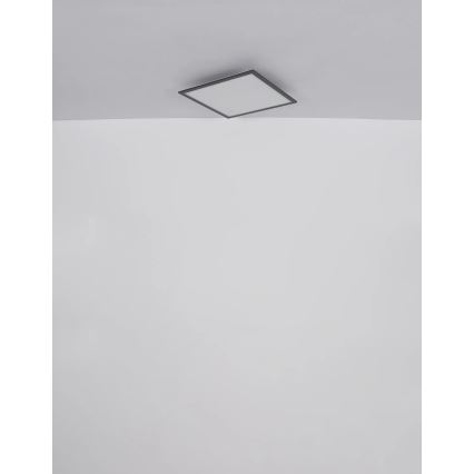 Globo - LED Stropné svietidlo LED/24W/230V