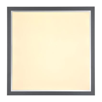 Globo - LED Stropné svietidlo LED/24W/230V