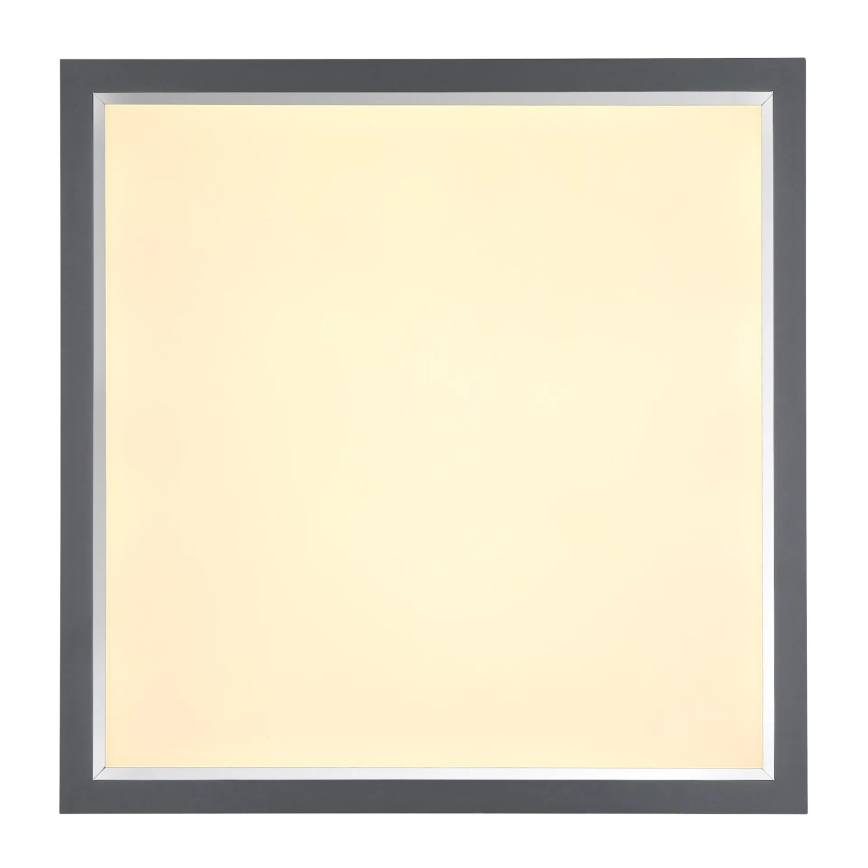 Globo - LED Stropné svietidlo LED/24W/230V