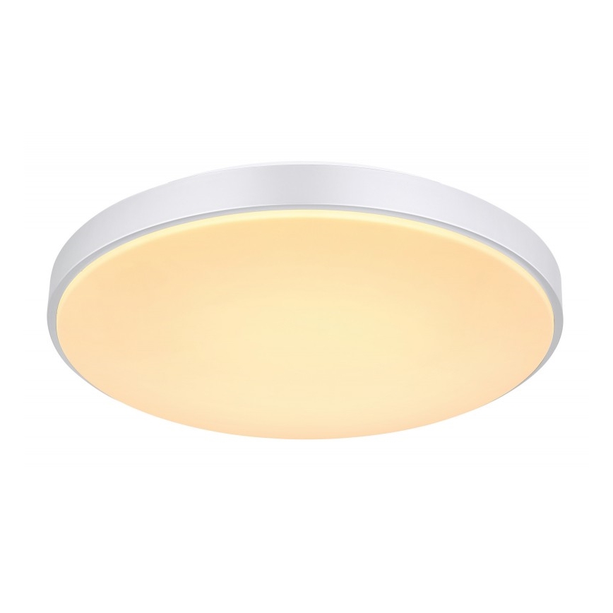 Globo - LED Stmievateľné stropné svietidlo LED/24W/230V + diaľkové ovládanie