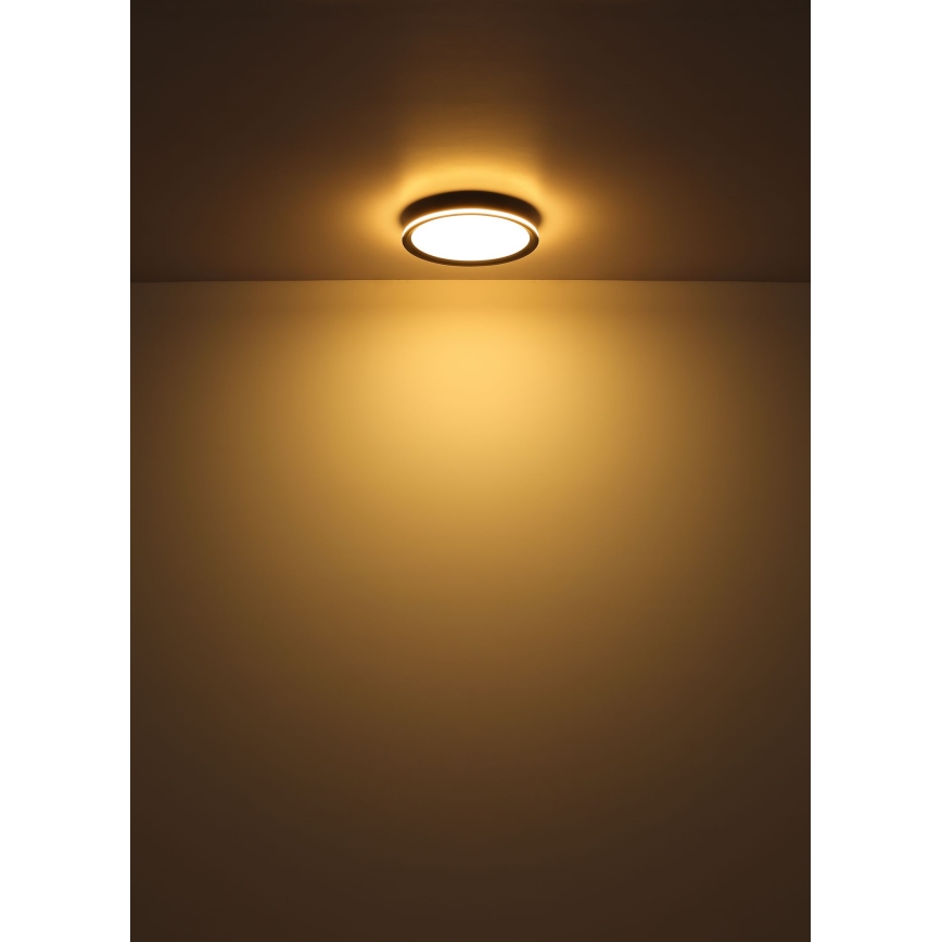 Globo - LED Stropné svietidlo LED/30W/230V pr. 30 cm